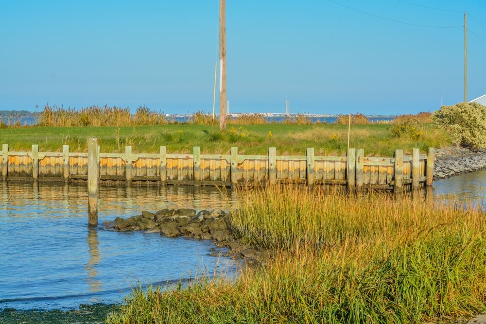 Spend Time Outdoors at Holts Landing State Park