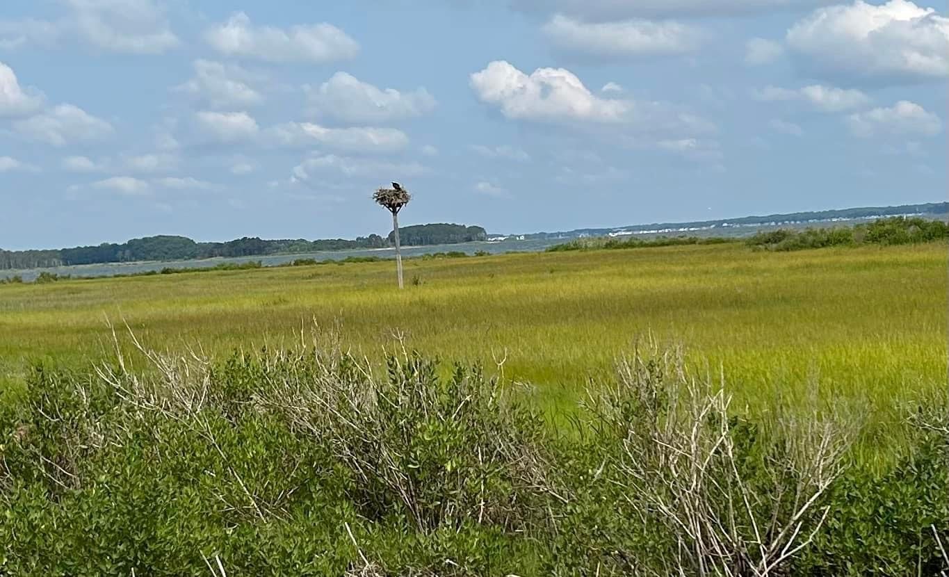 Spend a Day at the James Farm Ecological Preserve